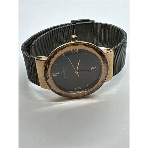 Skagen SKW2120 Women\'s Gray Stainless Steel Mesh Analog Dial Quartz Watch JNA892 main image 4